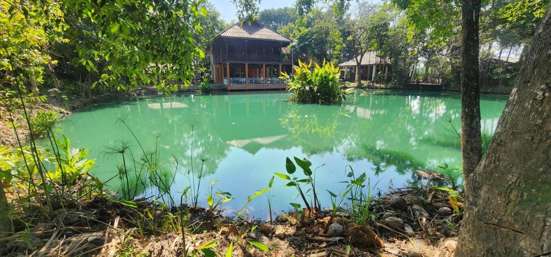Tung Tong Homestay & Camping Mae Rim Exterior foto