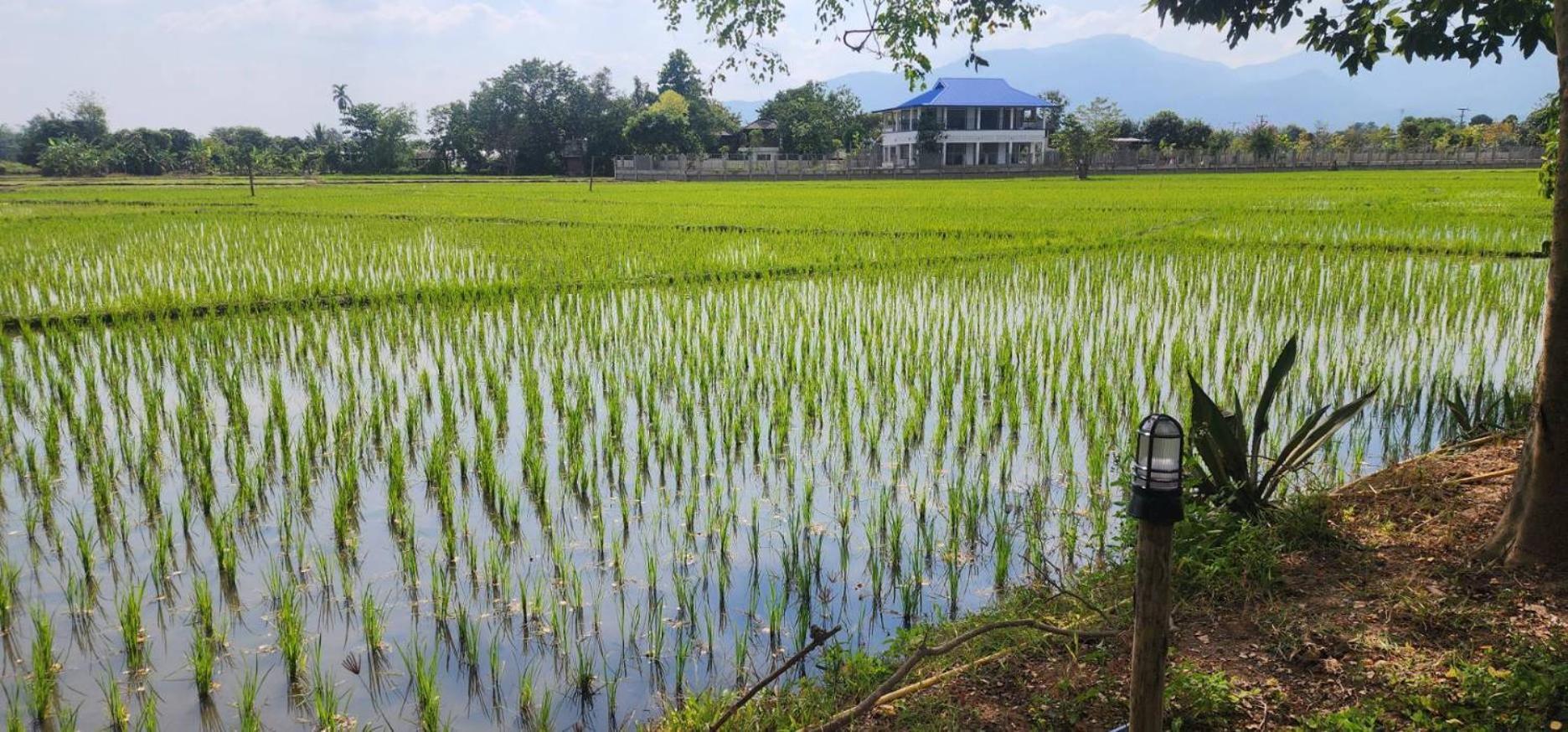 Tung Tong Homestay & Camping Mae Rim Exterior foto