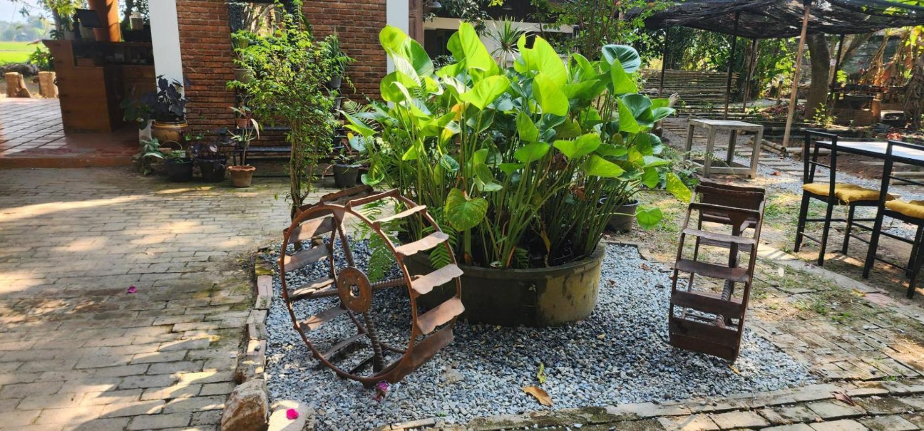 Tung Tong Homestay & Camping Mae Rim Exterior foto