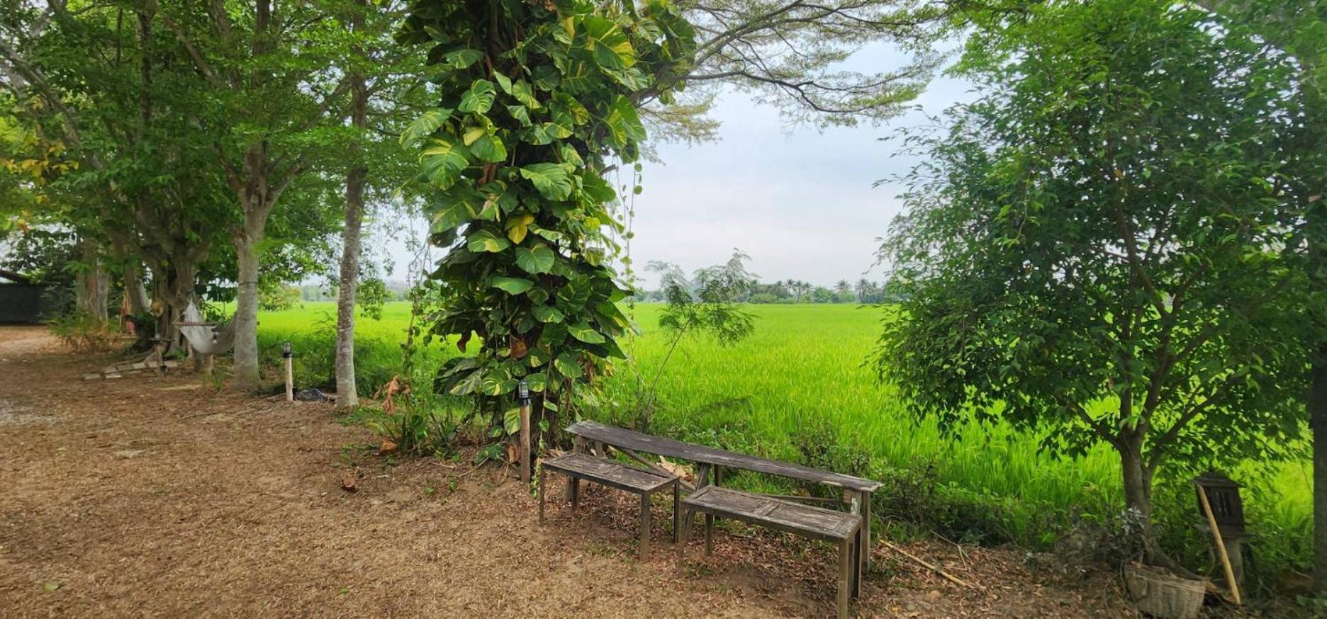 Tung Tong Homestay & Camping Mae Rim Exterior foto