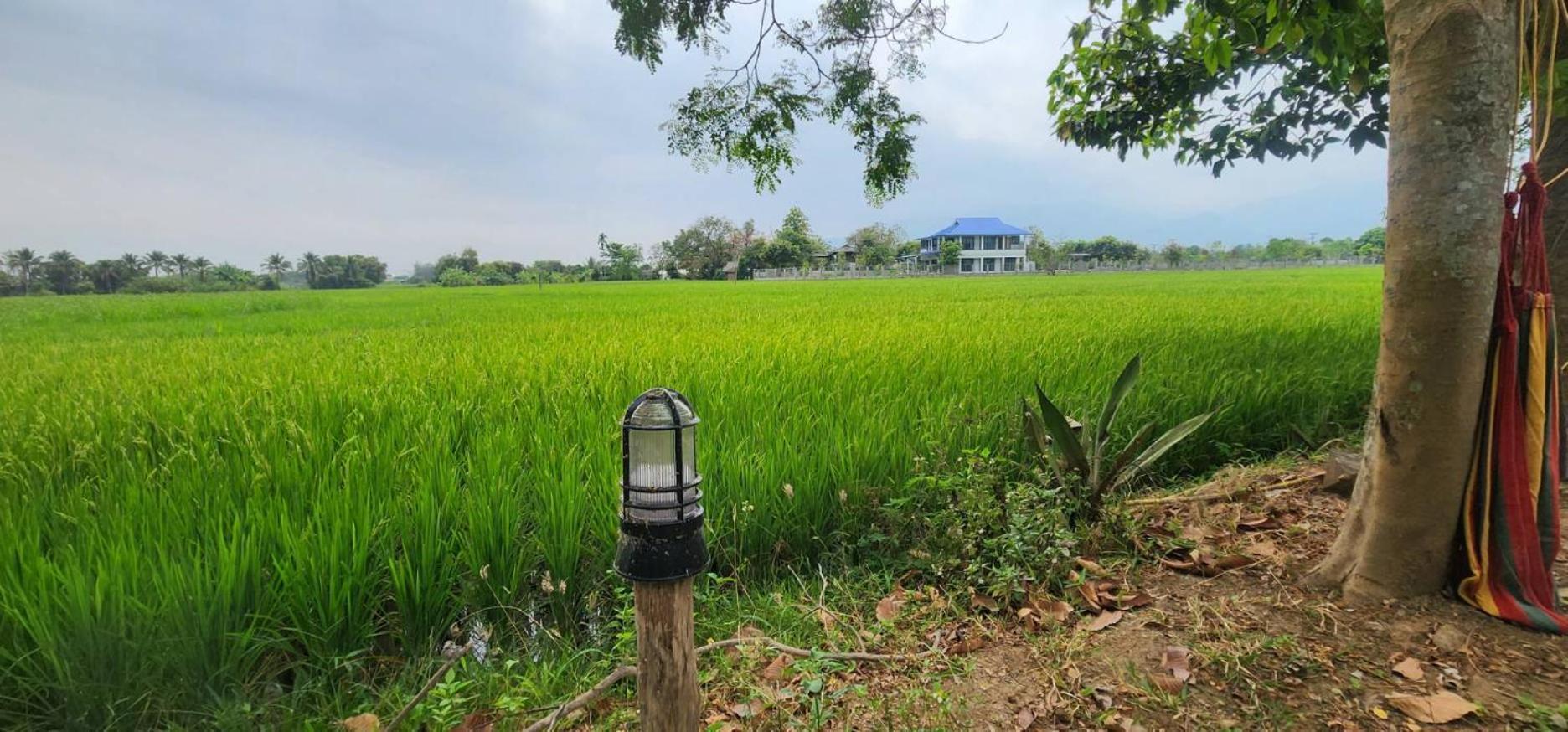 Tung Tong Homestay & Camping Mae Rim Exterior foto